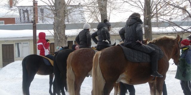 28.02.2021 28.02.2021 Иппотерапия в мороз идет полным ходом!